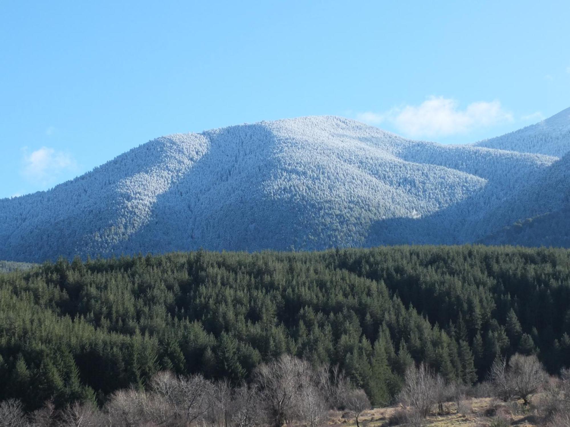 Pirin Heights A-21 Близо До Ски Пистата บันสโก ภายนอก รูปภาพ